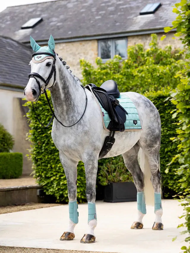 LEMIEUX Loire Classic Dressage Saddle Pad Aqua | Horse Riding Equipment