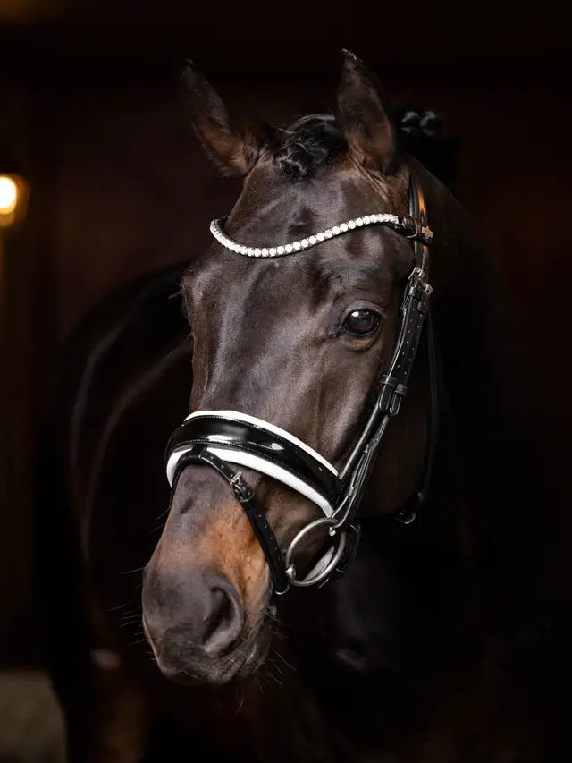 Lemieux Ice Crystal Browband Black on a horse. Stylish equestrian headwear from Equiflair.
