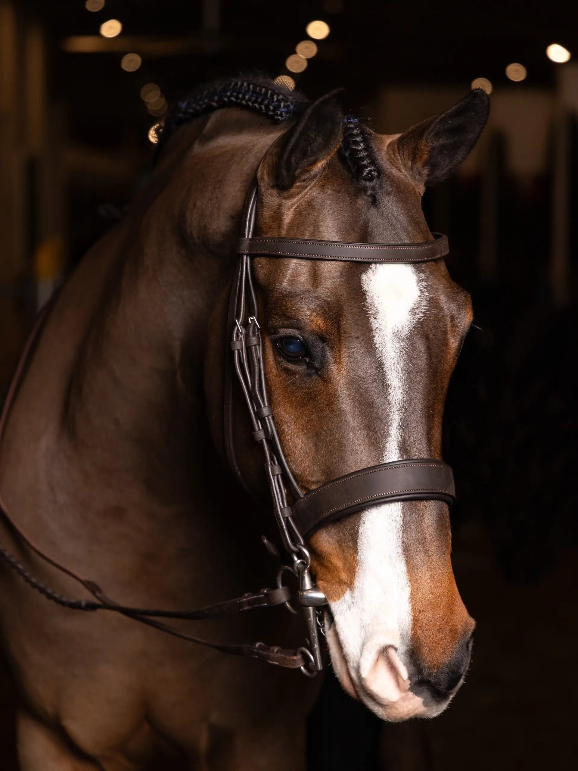 Lemieux Flat Hunter Bridle: Beautiful horse with Havana/Silver laced reins. American leather comfort. #HorseBridle #Hunter