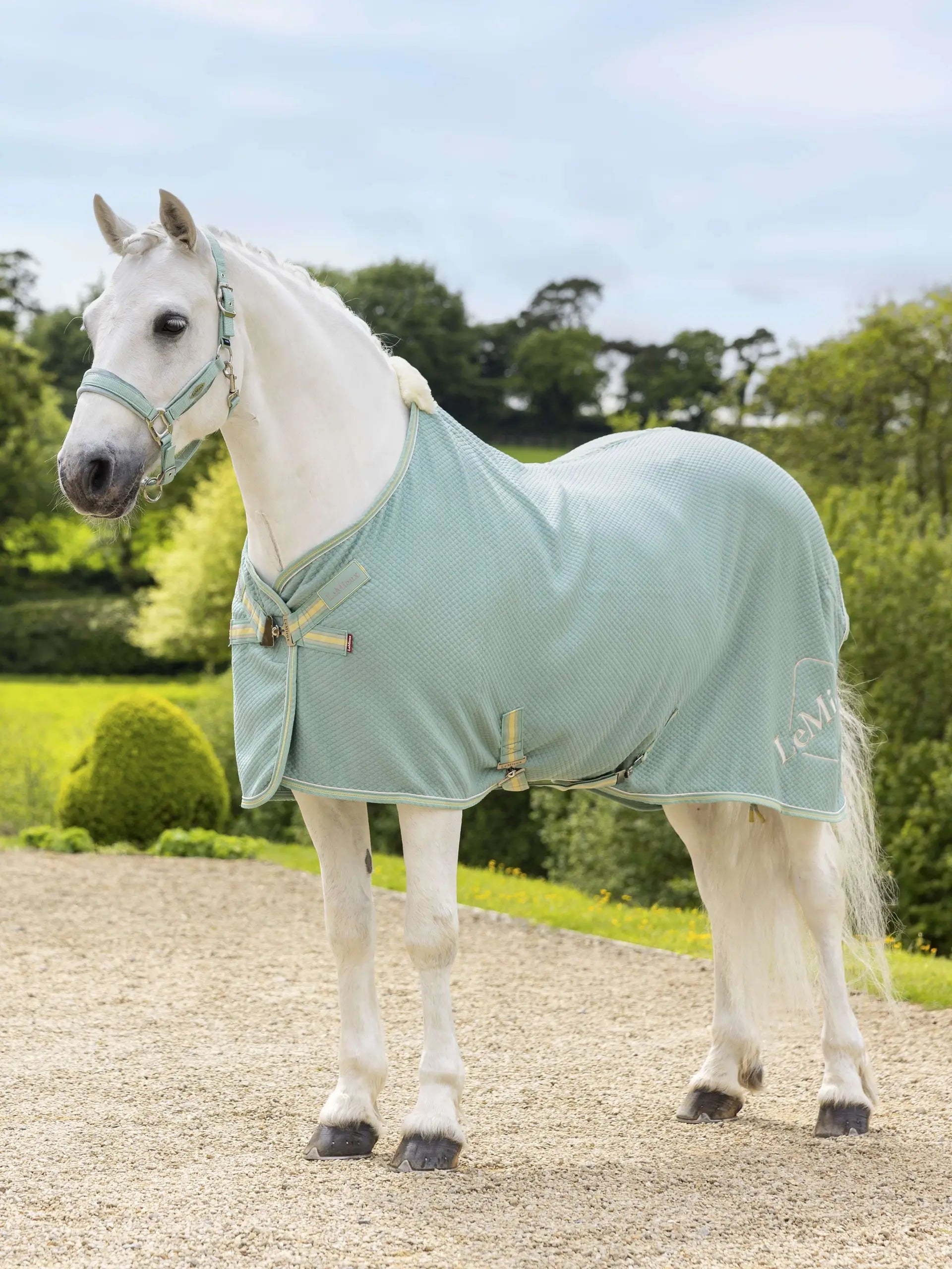 LEMIEUX Kudos Bamboo Cooler Aqua Horse Rug - Cooling, Travel, and Box Wear | Equiflair
