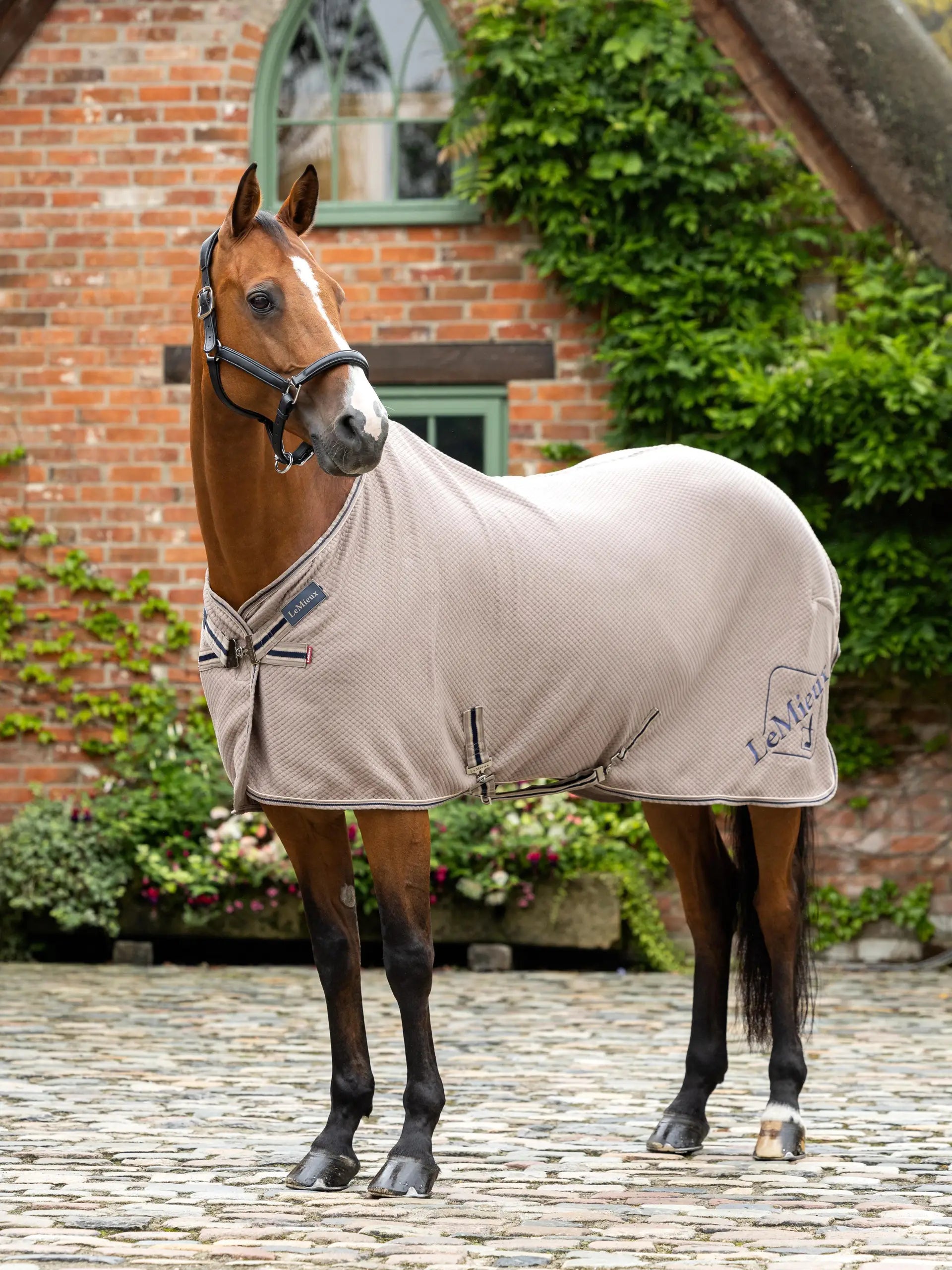 LeMieux Kudos Bamboo Cooler Pecan: Horse wearing breathable cooling blanket outdoors. Equine summer sheet, stable rug.