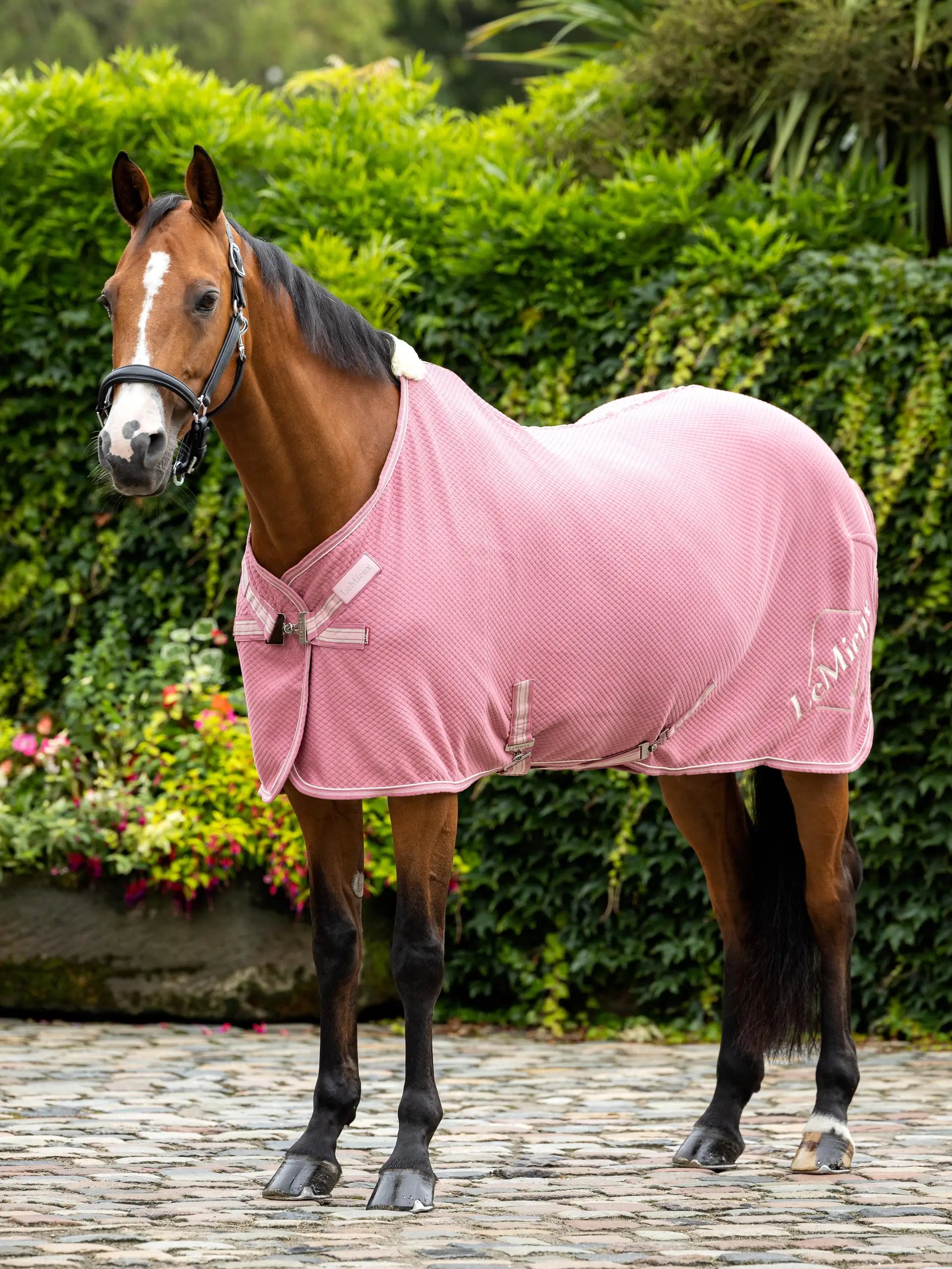 LeMieux Kudos Bamboo Cooler Peony Horse Rug - Equiflair Store