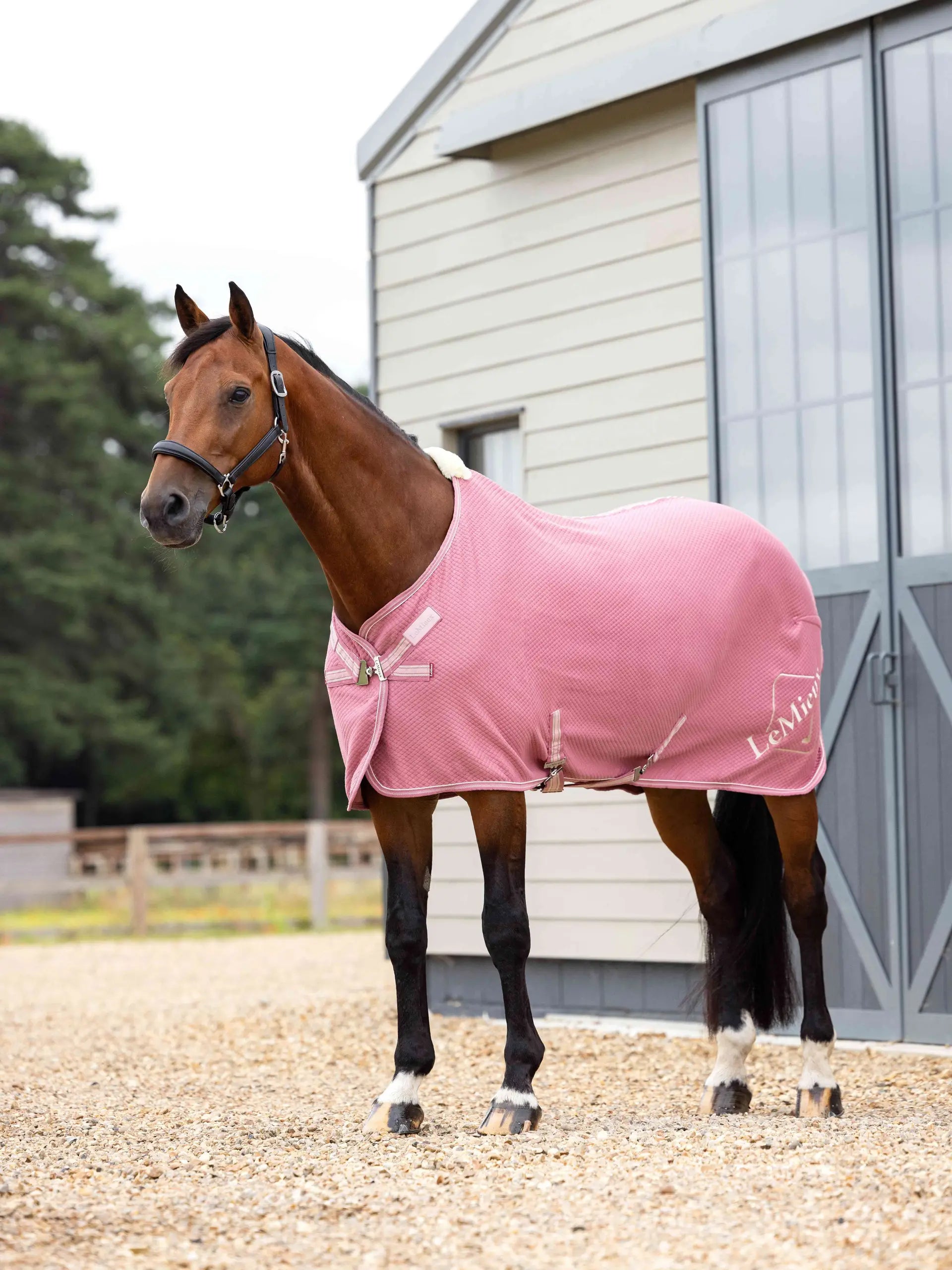 LeMieux Kudos Bamboo Cooler Rug Peony on Horse | Equiflair