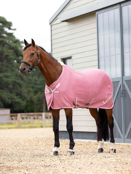 LeMieux Kudos Bamboo Cooler Rug Peony on Horse | Equiflair