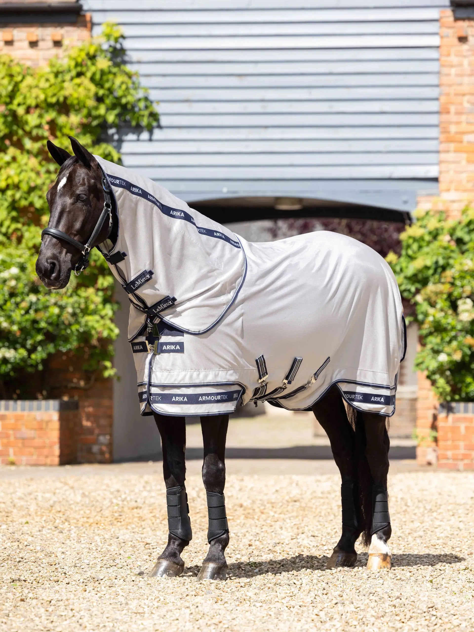 LeMieux Arika Armour-Tek Fly Rug Grey: Horse Fly Protection, Insect Repellent, and UV Protection