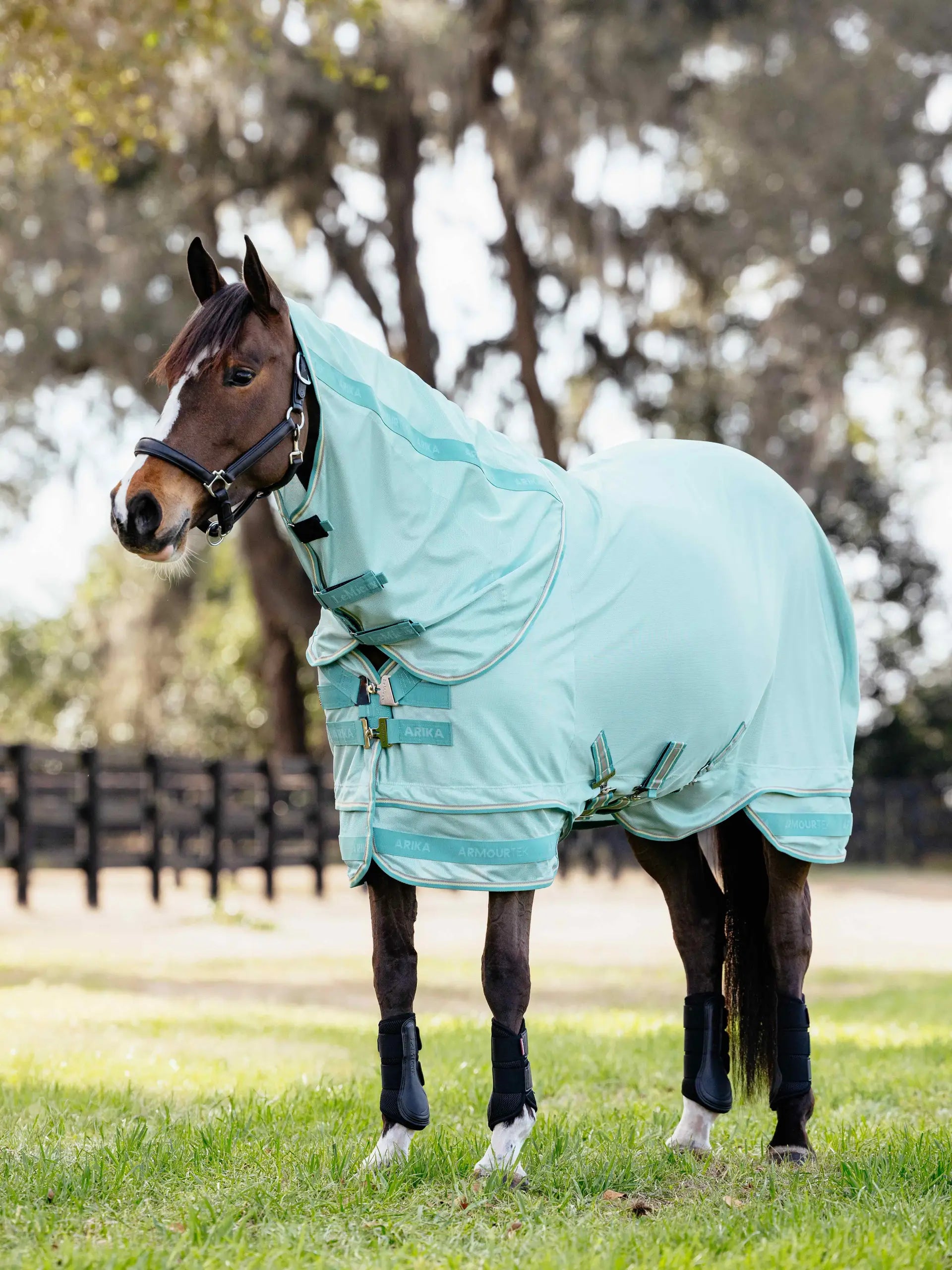 LeMieux Arika Armour-Tek Fly Rug Aqua
