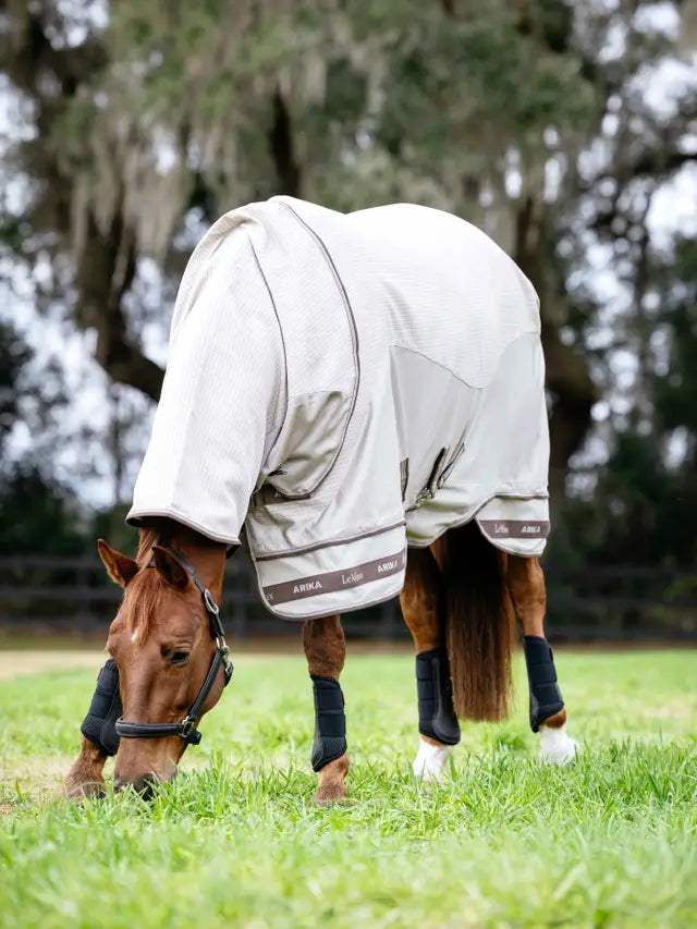 Horse grazing in LeMieux Arika Sunstopper Sheet Stone color. Lightweight with UV protection.
