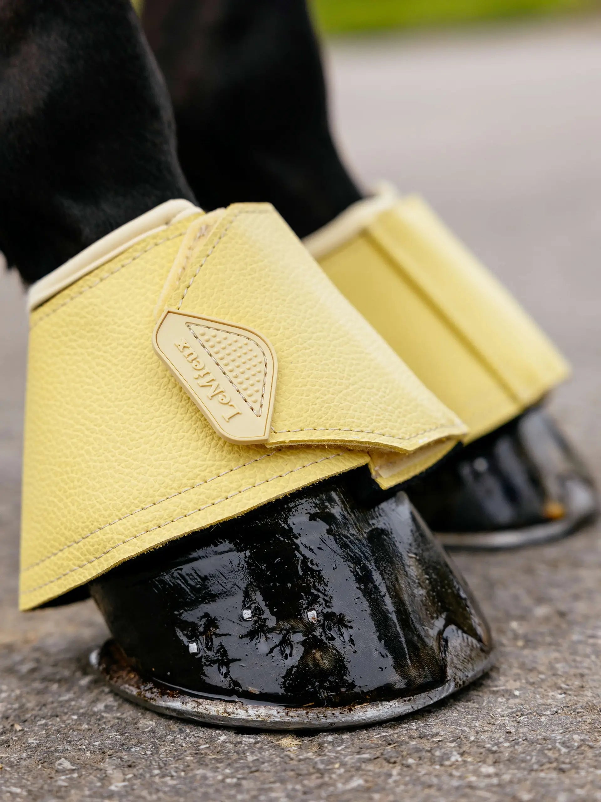 LeMieux Arika Over Reach Boots Mimosa