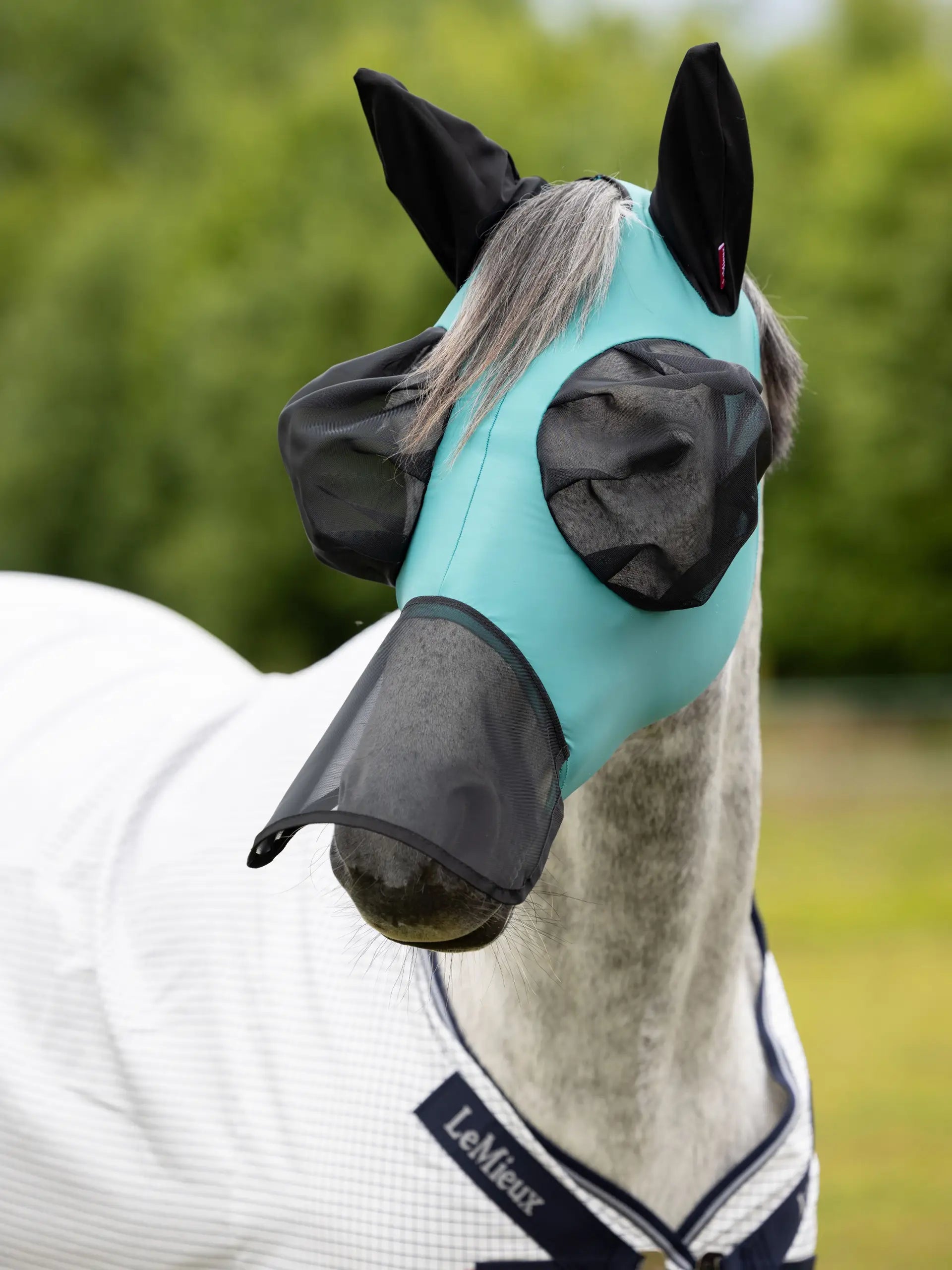 LE MIEUX Lagoon Horse Fly Mask: Bug Relief Full Mask for UV Protection & Comfortable Fit