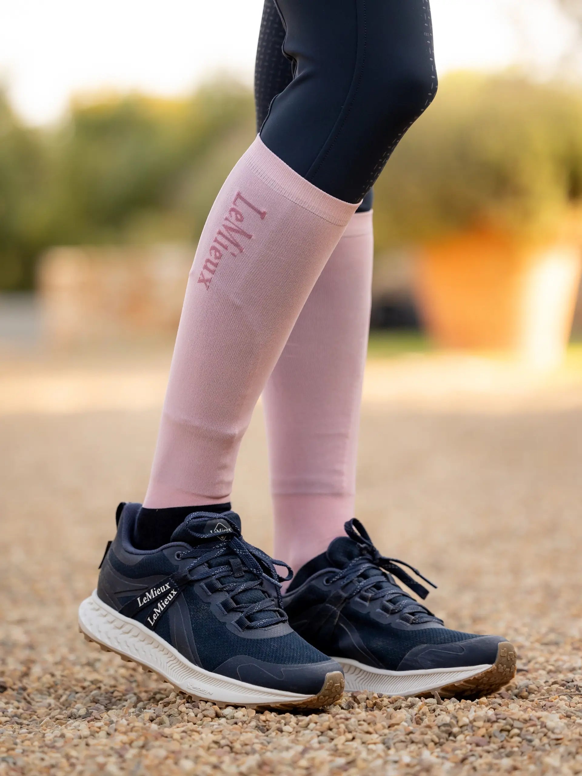 LeMieux Competition Socks 2 pack Blossom