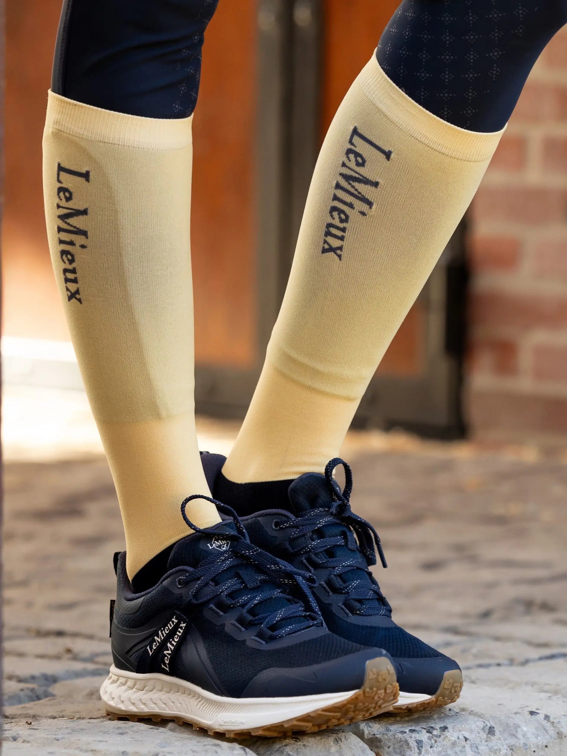 LeMieux Competition Socks 2 pack Mimosa