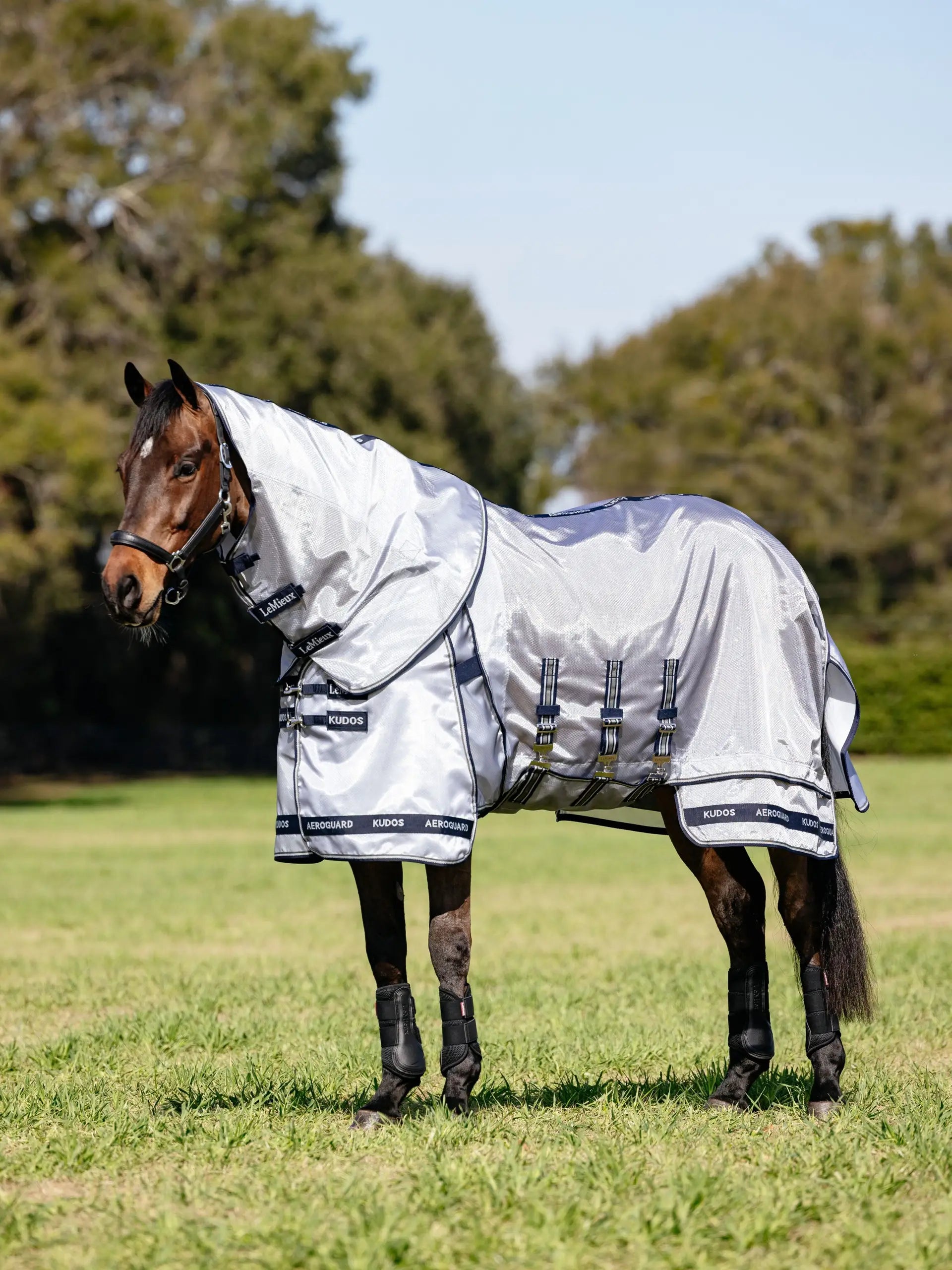 LeMieux Kudos Aeroguard Fly Rug Silver: Horse protection from UV and insects, breathable mesh design.