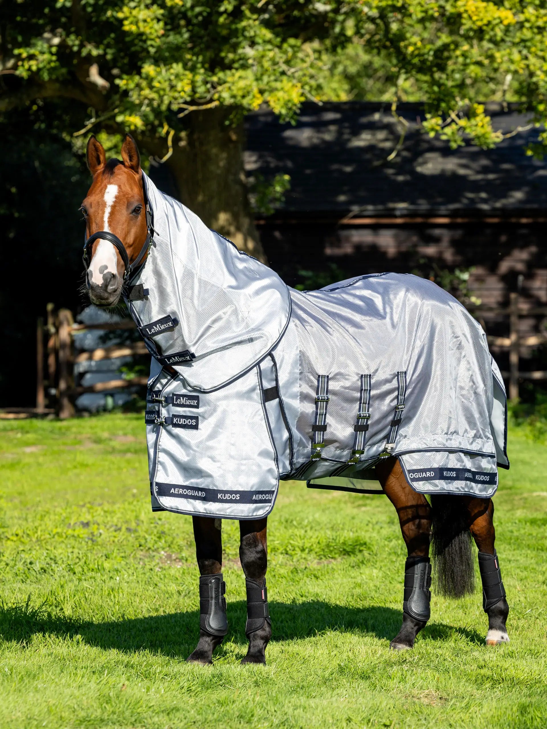 LEMIEUX KUDOS AEROGUARD FLY RUG SILVER | Equiflair Saddlery | Horse Fly Protection