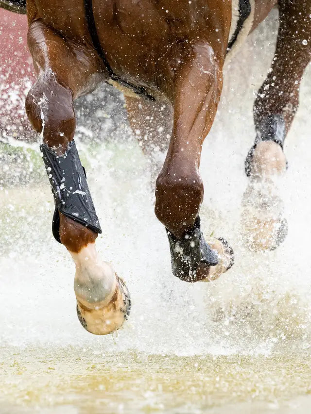 Lemieux MIMsafe XC Front Horse Boots Black - Leg Protection, Cross Country Gear, Equestrian Safety