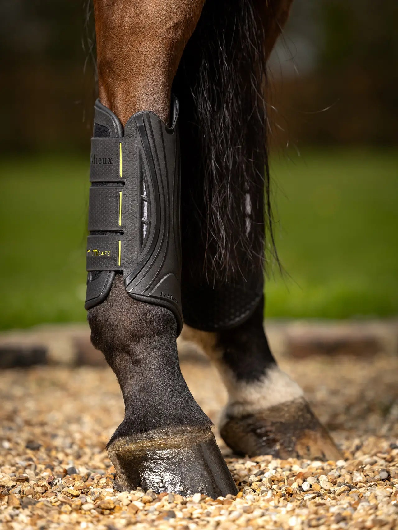 LEMIEUX MIMSAFE XC BOOT HIND BLACK: Performance Horse Leg Protection | Equiflair