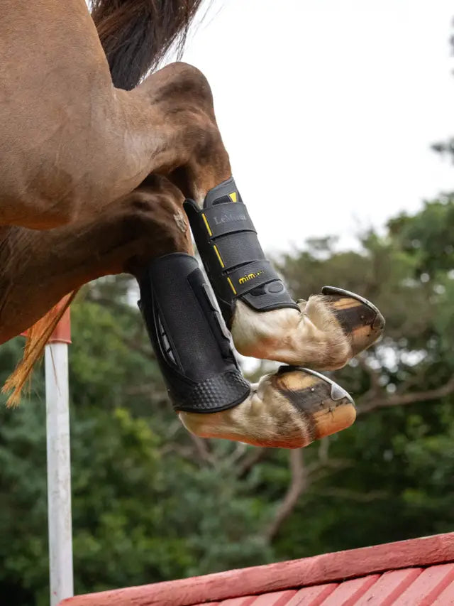 LEMIEUX MIMSAFE XC Boots Hind Black - Horse Cross Country Protective Equestrian Leg Boots. Shop Equiflair for ultimate horse safety gear.