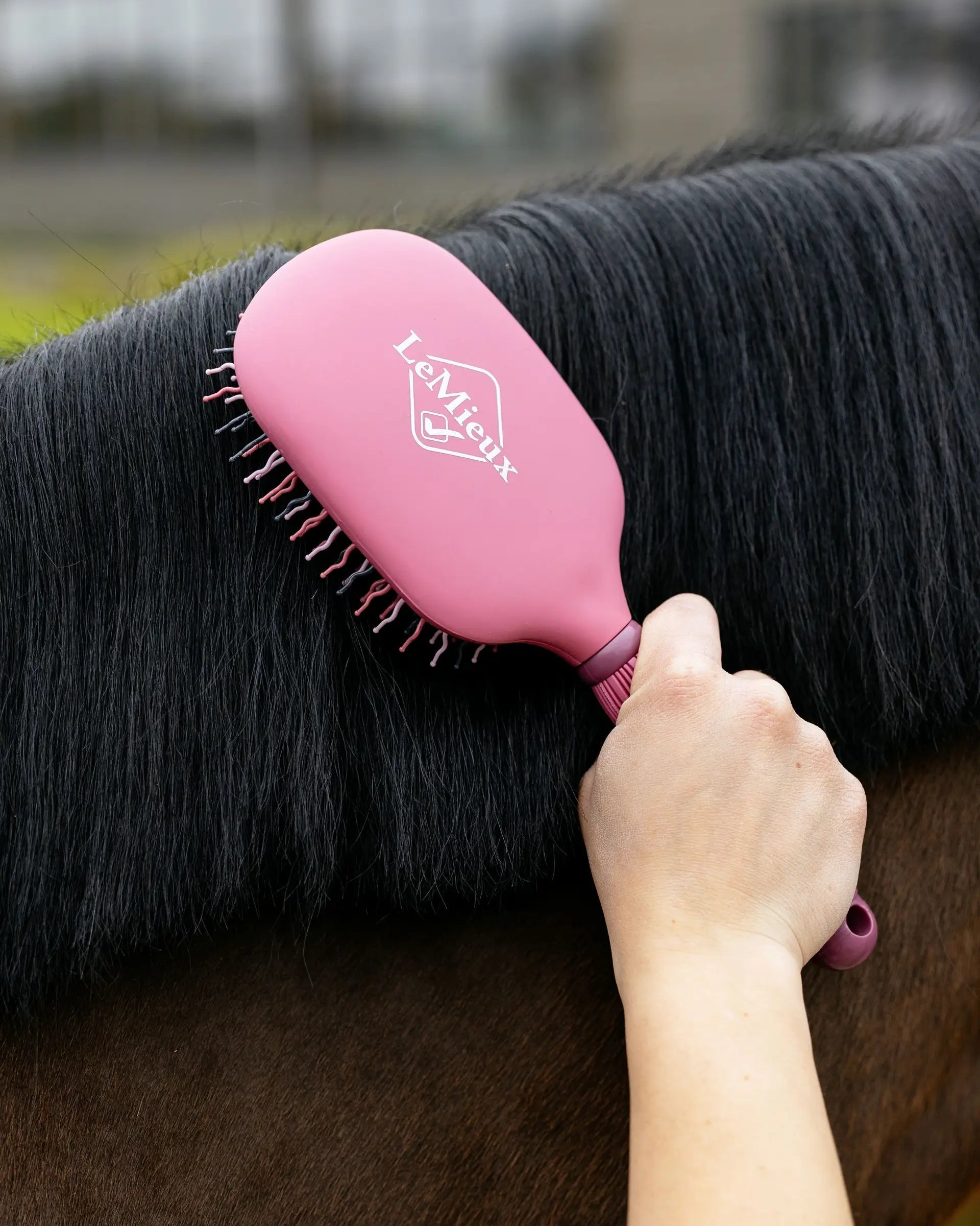 LEMIEUX Tangle Tidy Peony Brush Grooming Horse Mane - Knot-Free Shine