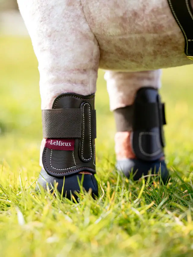 LeMieux Toy Pony Capella Boots Brown: Horse boots on a toy pony, perfect for protecting and styling your child's toy horse.