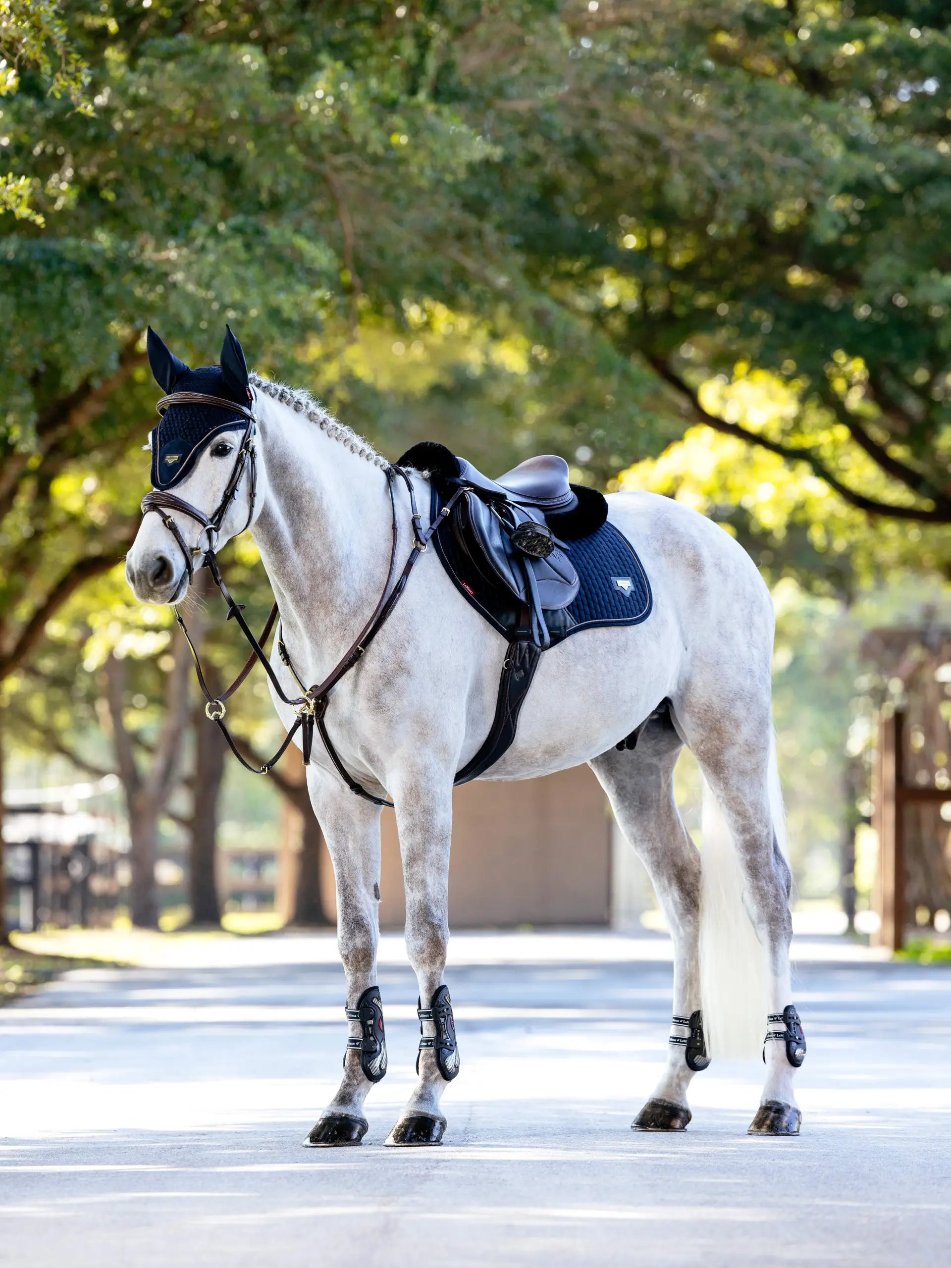 Dressage Horse with Lemieux Puissance Suede Close Contact Navy Saddle Pad, Equestrian Equipment