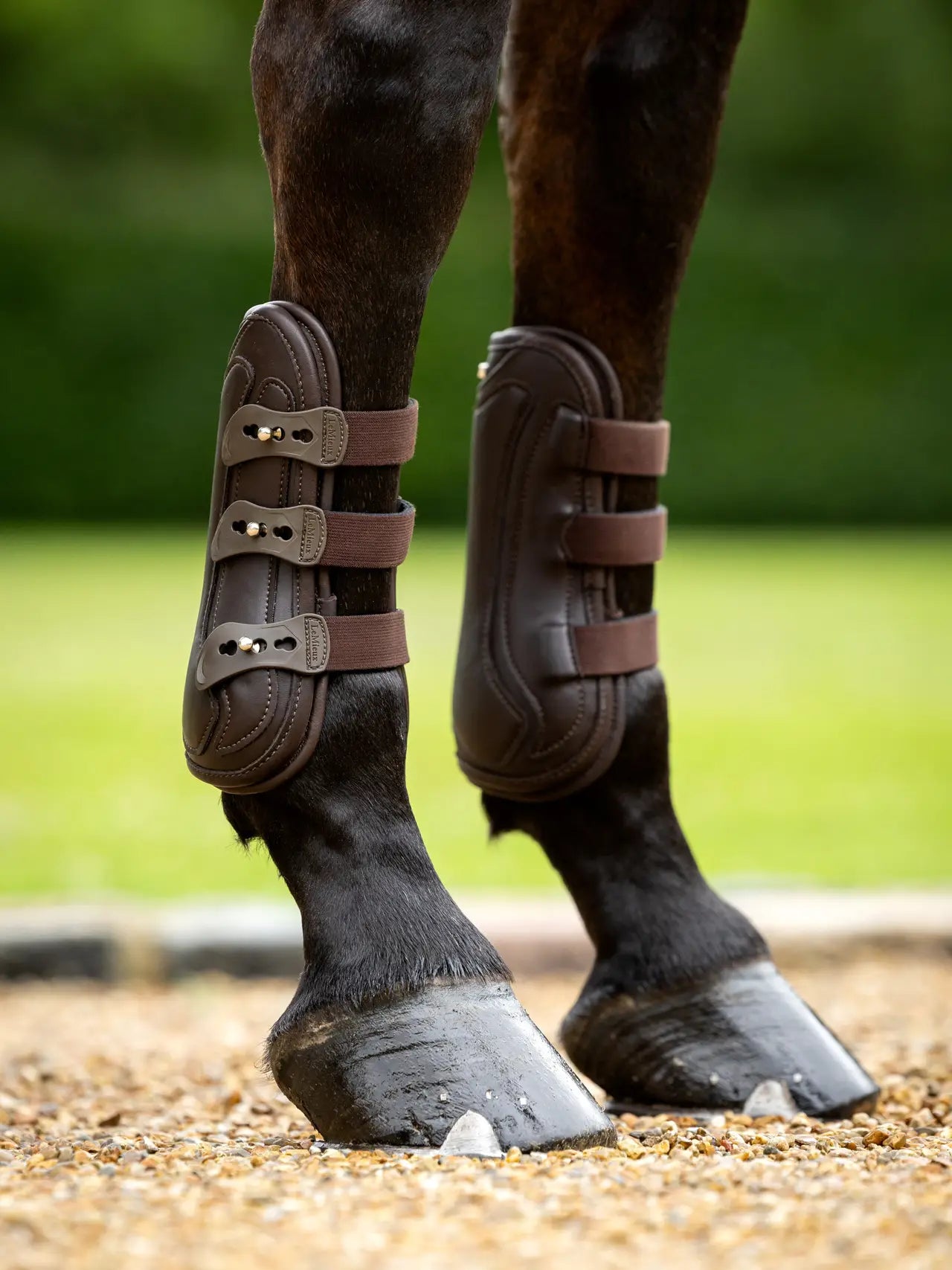 LEMIEUX Capella Brown Horse Tendon Boots - Equestrian Leg Protection
