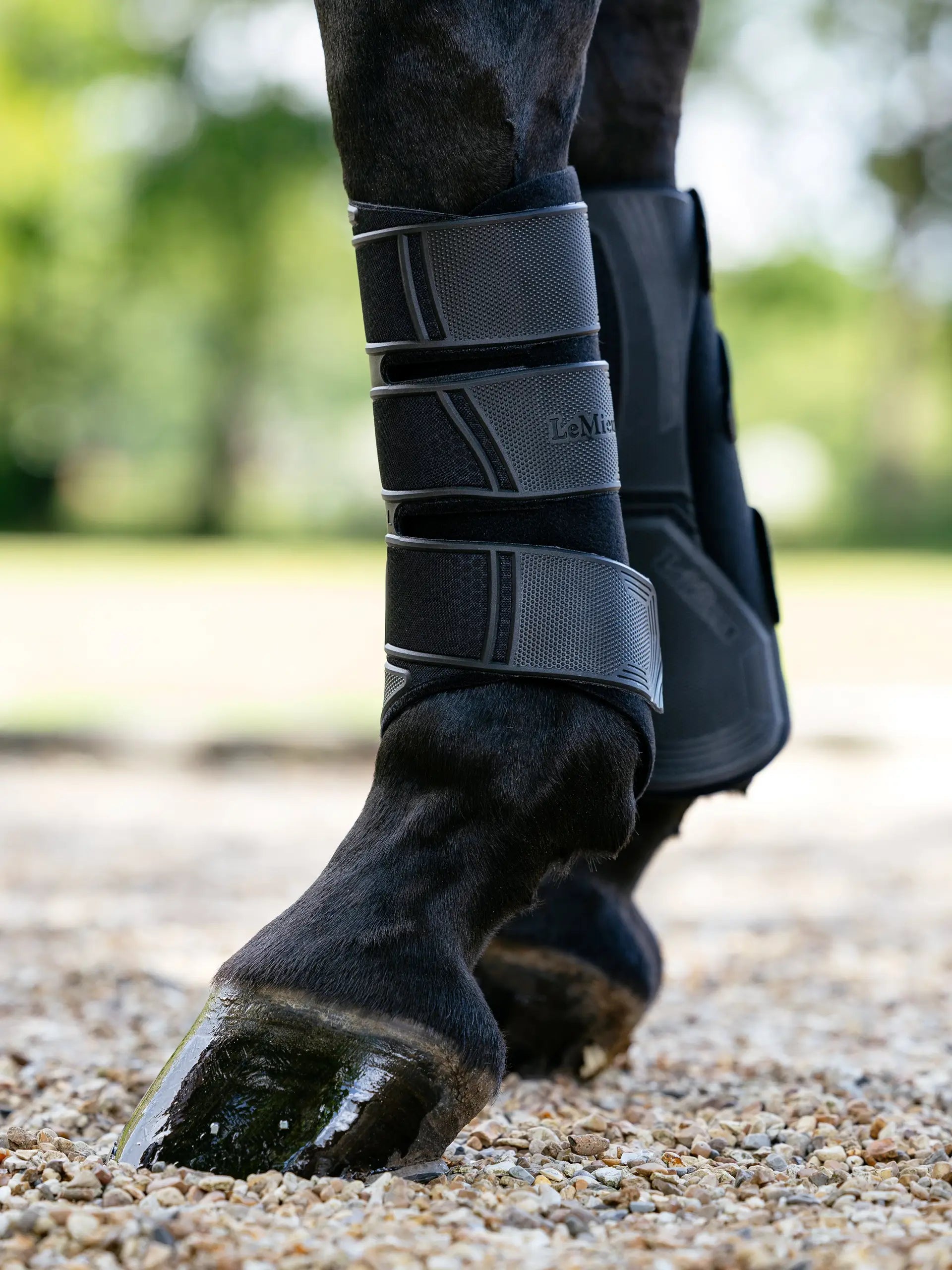 Black LeMieux Technical Brushing Boots for Horses - Equestrian Leg Protection