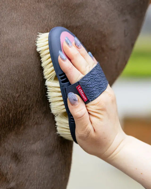 Grooming horse with LeMieux Flexi Scrubbing Brush - Equine brush for removing tough dirt. Equestrian grooming tool.