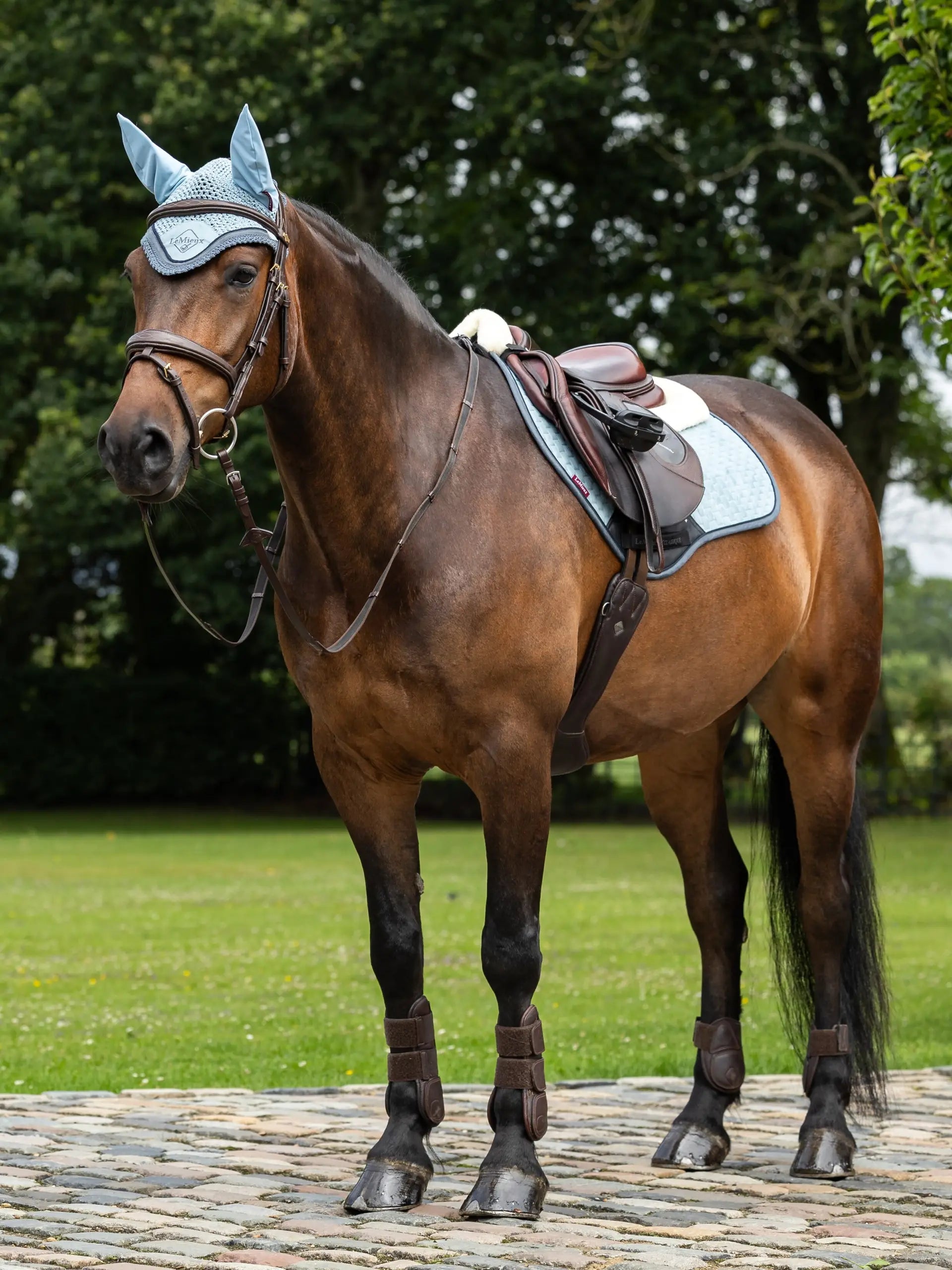 LeMieux Merino+ Suede Close Contact Glacier Saddle Pad on Brown Horse. Equestrian Riding Gear by Equiflair.