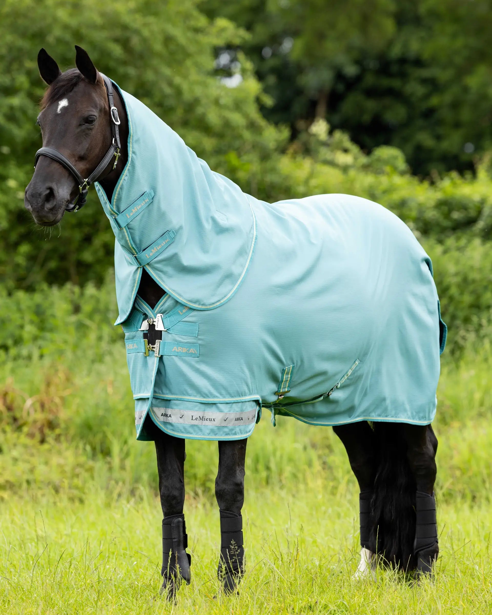LeMieux Arika Ripstop 0g Turnout Rug Lagoon