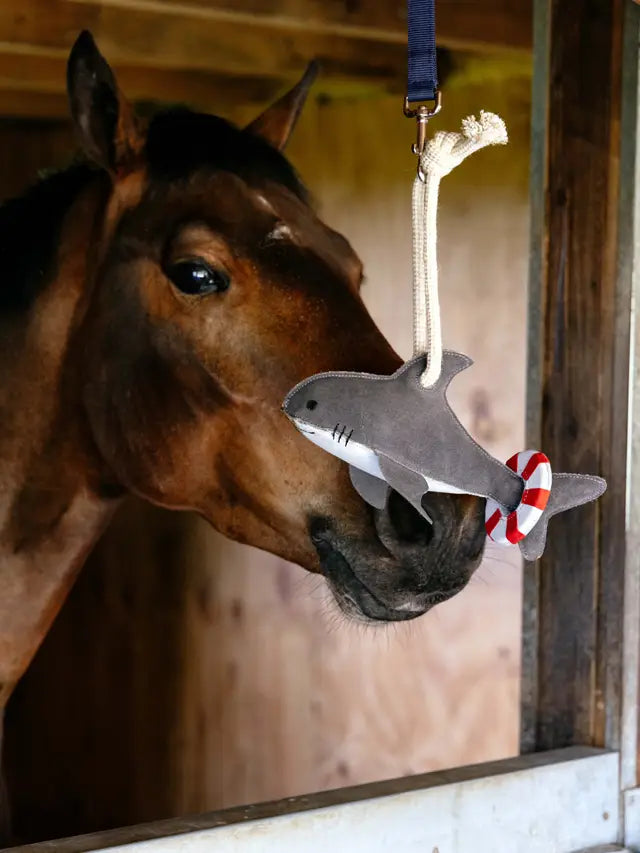 Horse Toy Shark - Stable Boredom Buster - Lemieux Equiflair: Fun Suede Shark Toy with Life Ring for Horse Stall Play!