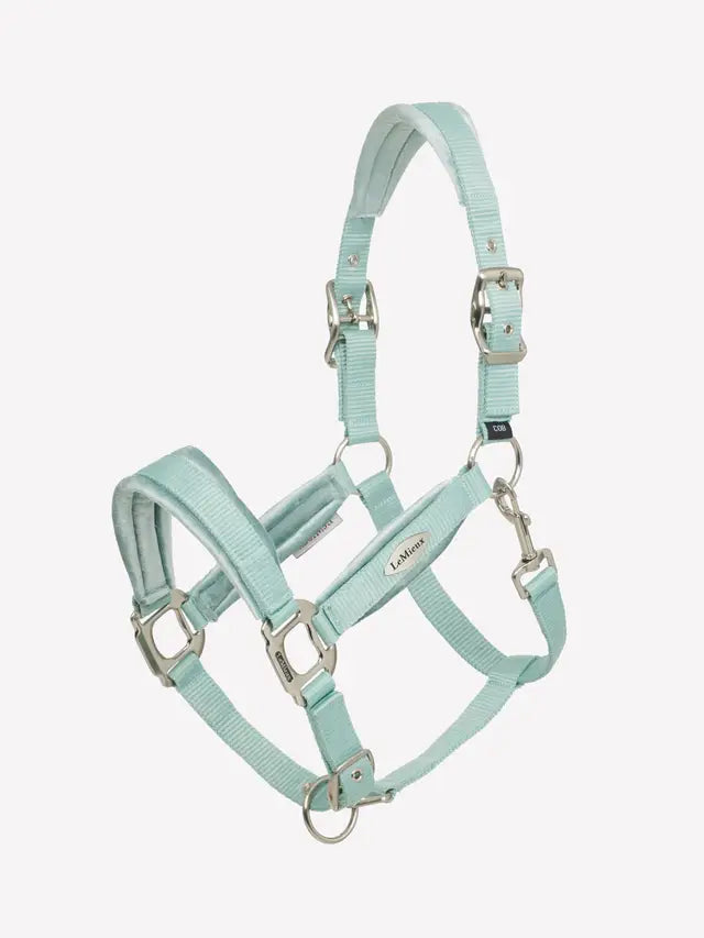 LeMieux Versailles Aqua Headcollar: Premium, Padded Comfort for Horses | Equiflair Saddlery