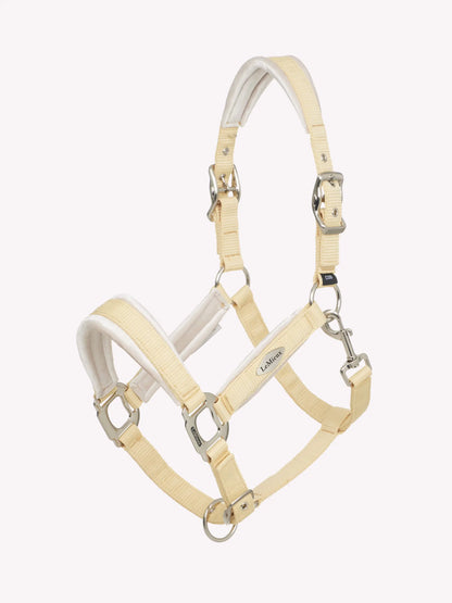LeMieux Versailles Mimosa Headcollar - Padded Horse Headcollar for Comfort - Equiflair Saddlery