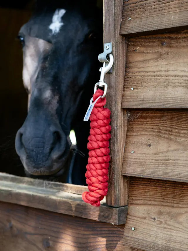 LEMIEUX Polycotton Leadrope Chilli for Horses | Equiflair | Red Lead Rope with Silver Clip
