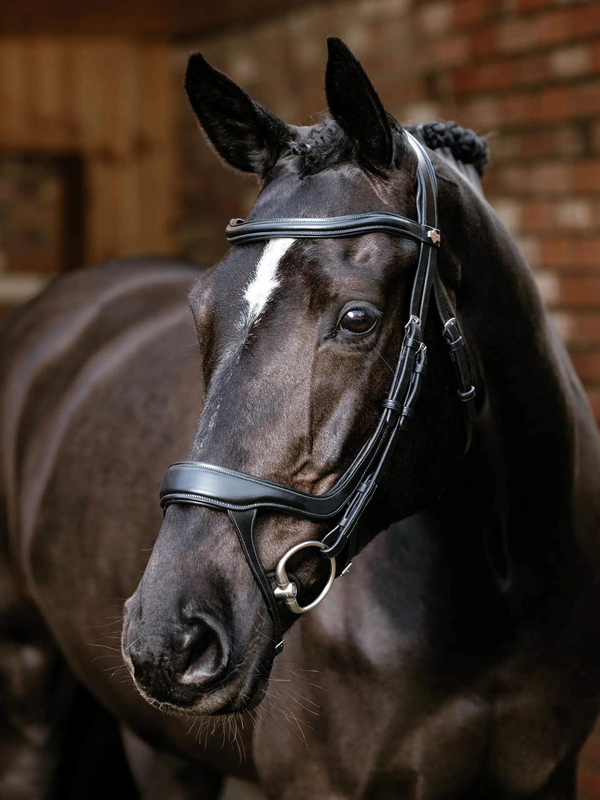 Black Horse Bridle: Lemieux Arika Split Noseband - Comfortable Equestrian Equipment