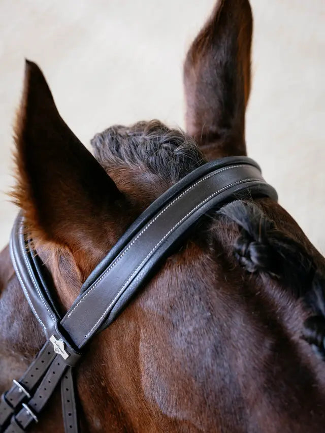 LeMieux Arika Brown Leather Horse Bridle with Split Noseband: Comfortable, Padded, Anatomical Design. Equestrian Equipment