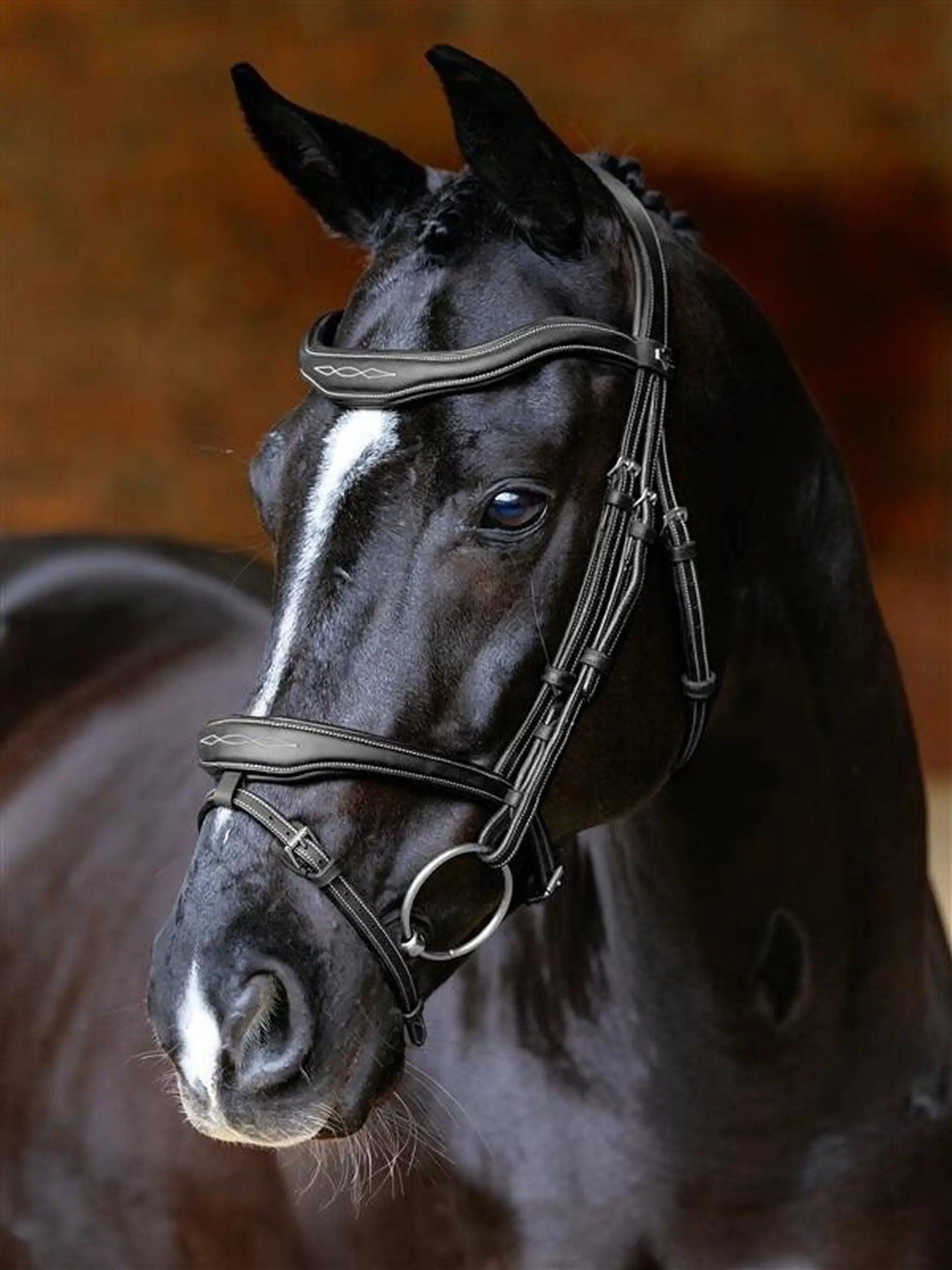 LeMieux Kudos Black Contour Bridle - Leather Padded Horse Bridle