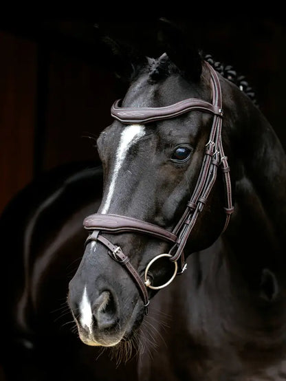 LeMieux Kudos Contour Flash Bridle Brown - Black Horse with Brown Leather Bridle | Equine Equipment