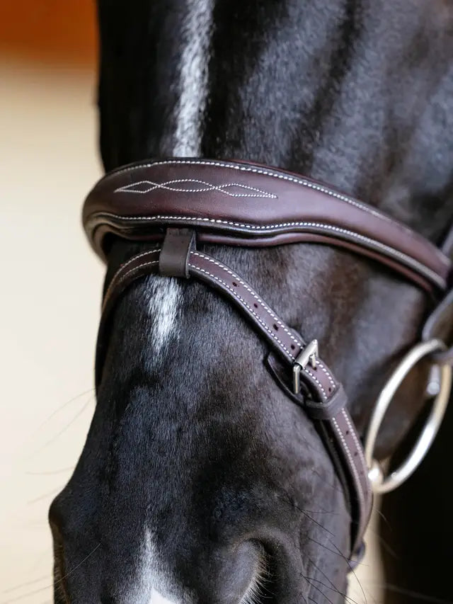 LeMieux Kudos Brown Leather Horse Bridle - Contoured, Padded Browband, Detachable Flash - Equestrian Equipment