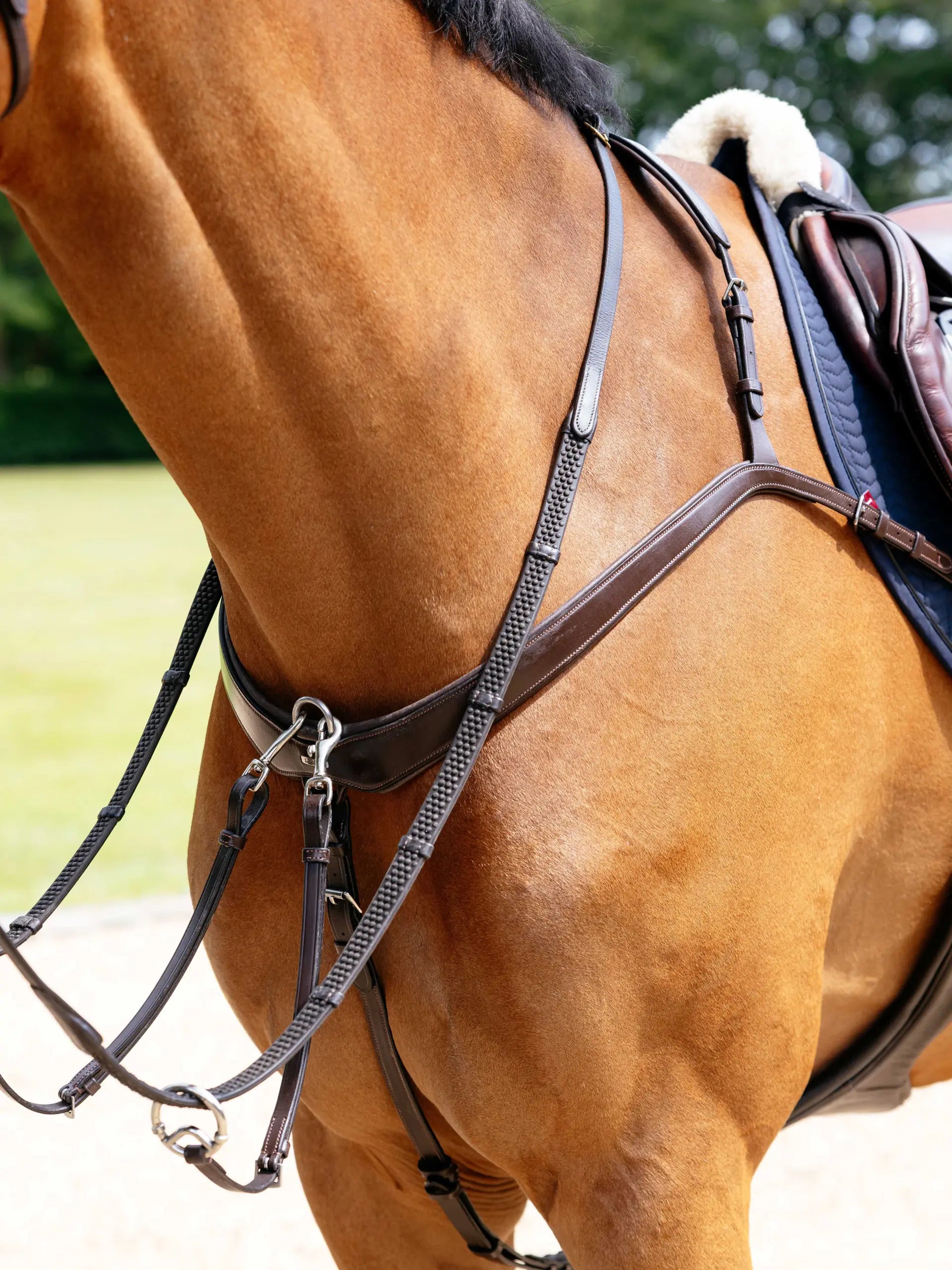 LEMIEUX KUDOS Havana Leather Horse Breastplate: Anatomical, Padded Riding Equipment for Comfort & Stability