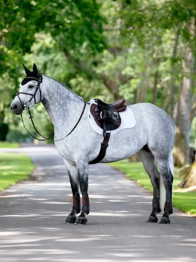 Grey Horse with English Tack Wearing a White LeMieux GP Square Saddle Pad
