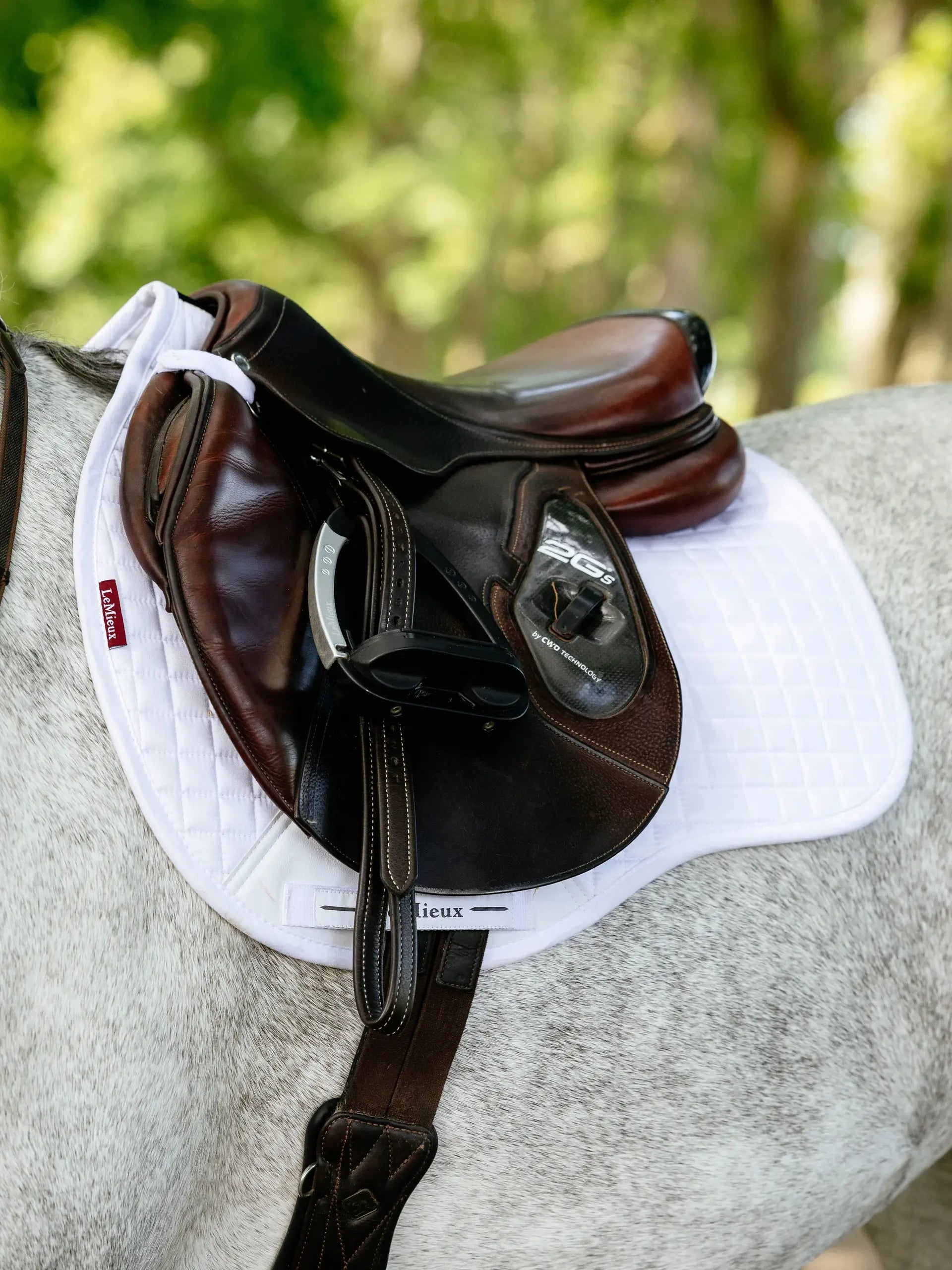 LeMieux Suede GP Square White Saddle Pad on Horse | Equestrian Equipment