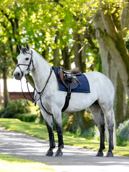 LEMIEUX PILLOW PAD NAVY: Stylish horse wearing a LeMieux Navy Pillow Pad saddle pad. Equiflair.