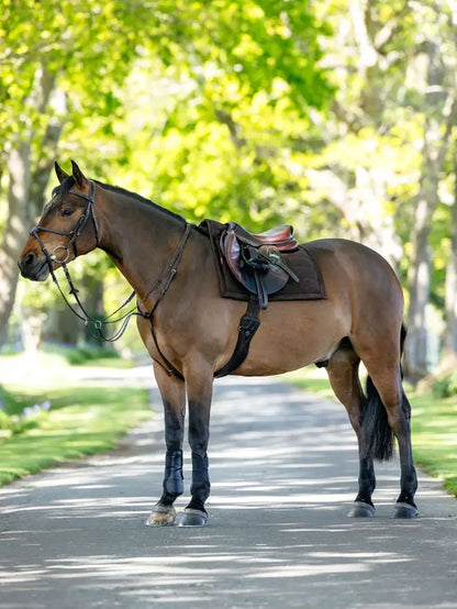 Bay Horse with LEMIEUX PILLOW PAD BROWN Saddle Pad | Equestrian Gear
