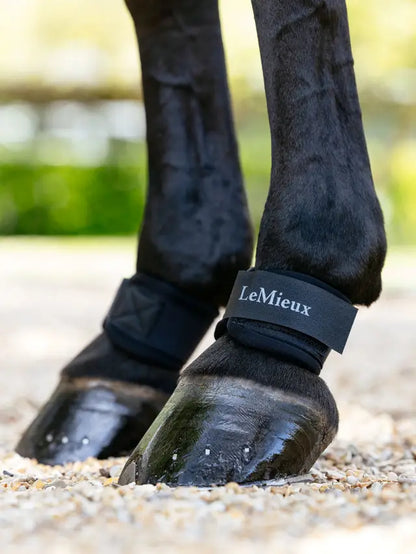 LeMieux Neoprene Pastern Wraps - Black Horse Boots for Protection | Equiflair