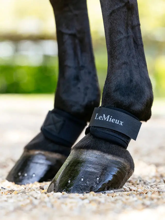 LeMieux Neoprene Pastern Wraps - Black Horse Boots for Protection | Equiflair
