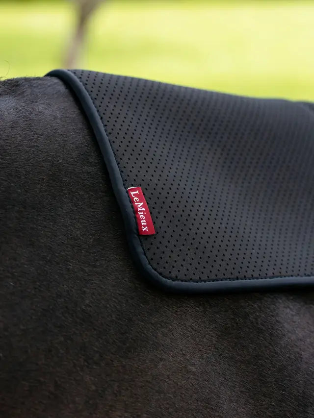 LEMIEUX Non-Slip Black Square Half Pad on Horse - Comfortable Saddle Pad for Equestrian Use