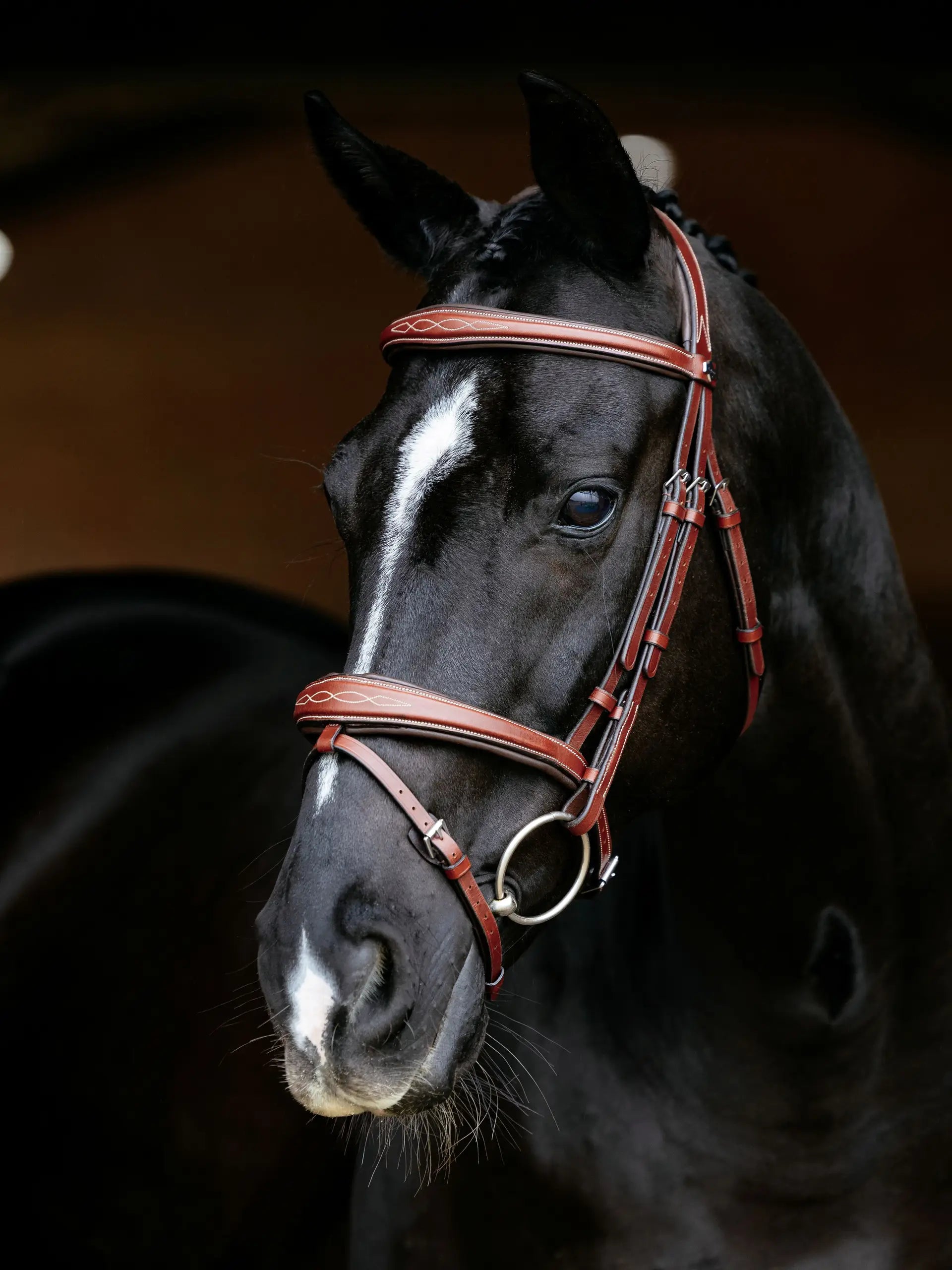 Elegant black horse wearing a LeMieux Kudos Competition Flash Bridle in Chestnut color. Show quality bridle for equestrian competitions.