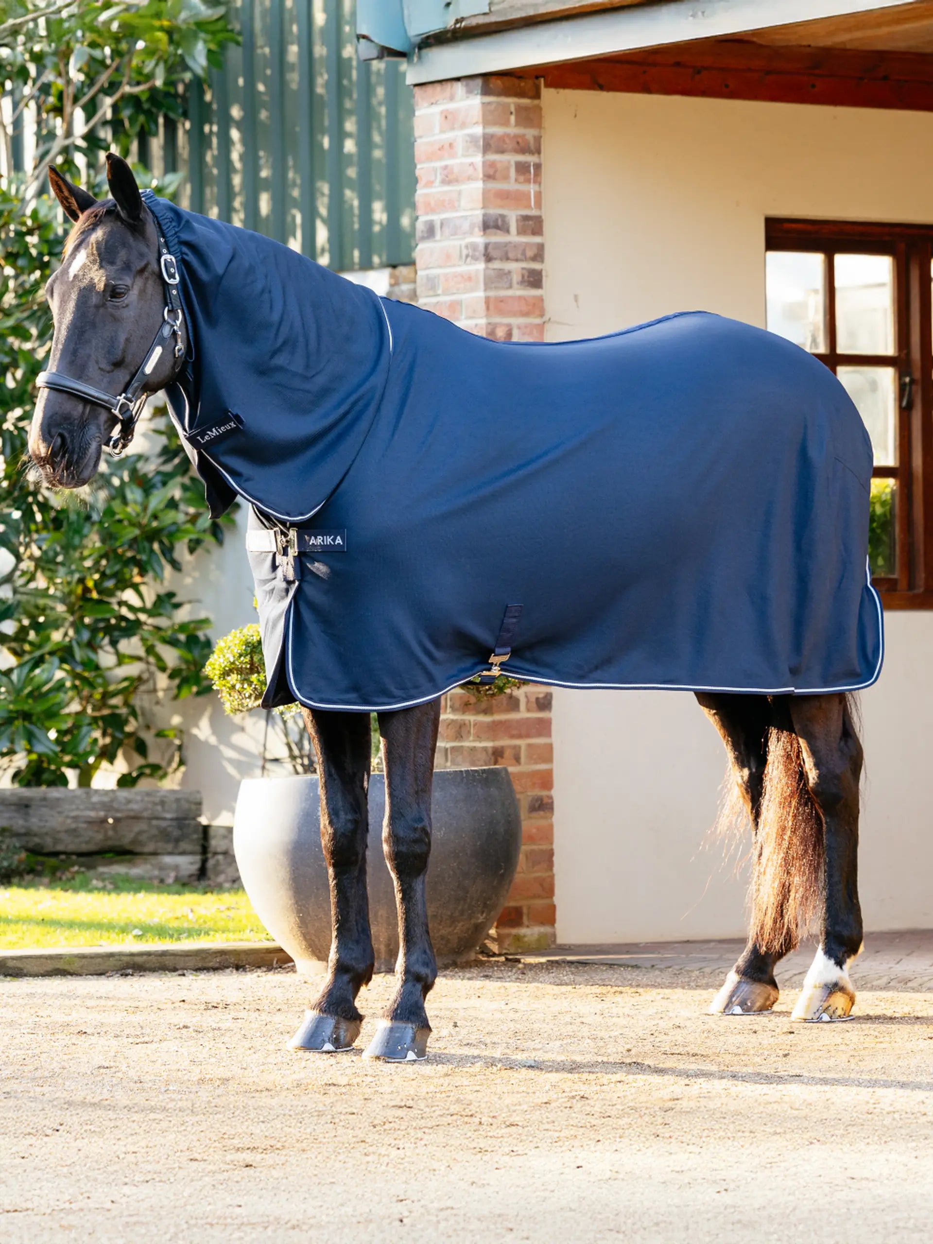 Lemieux Arika Dryease Navy Horse Rug from Equiflair: Lightweight Drying Rug for Horses