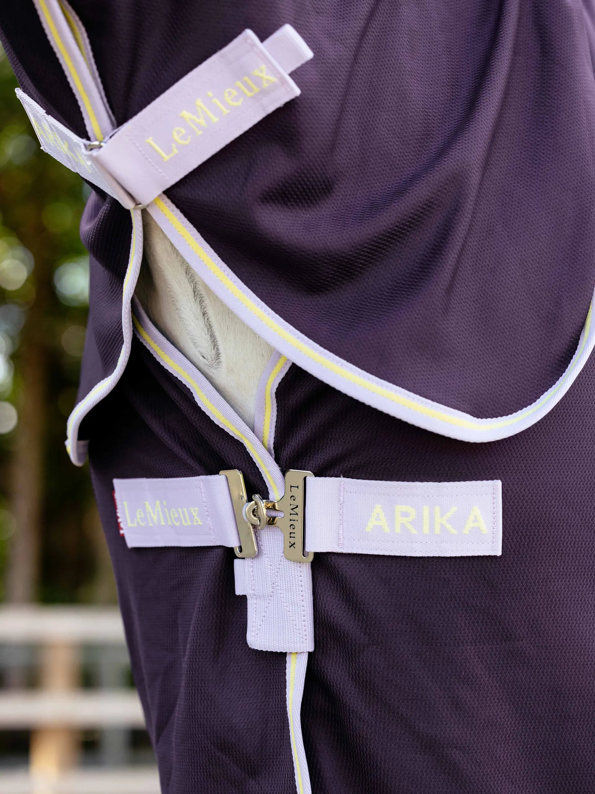 LEMIEUX ARIKA Juniper DryEase Horse Rug - Close-up of buckles and name tag