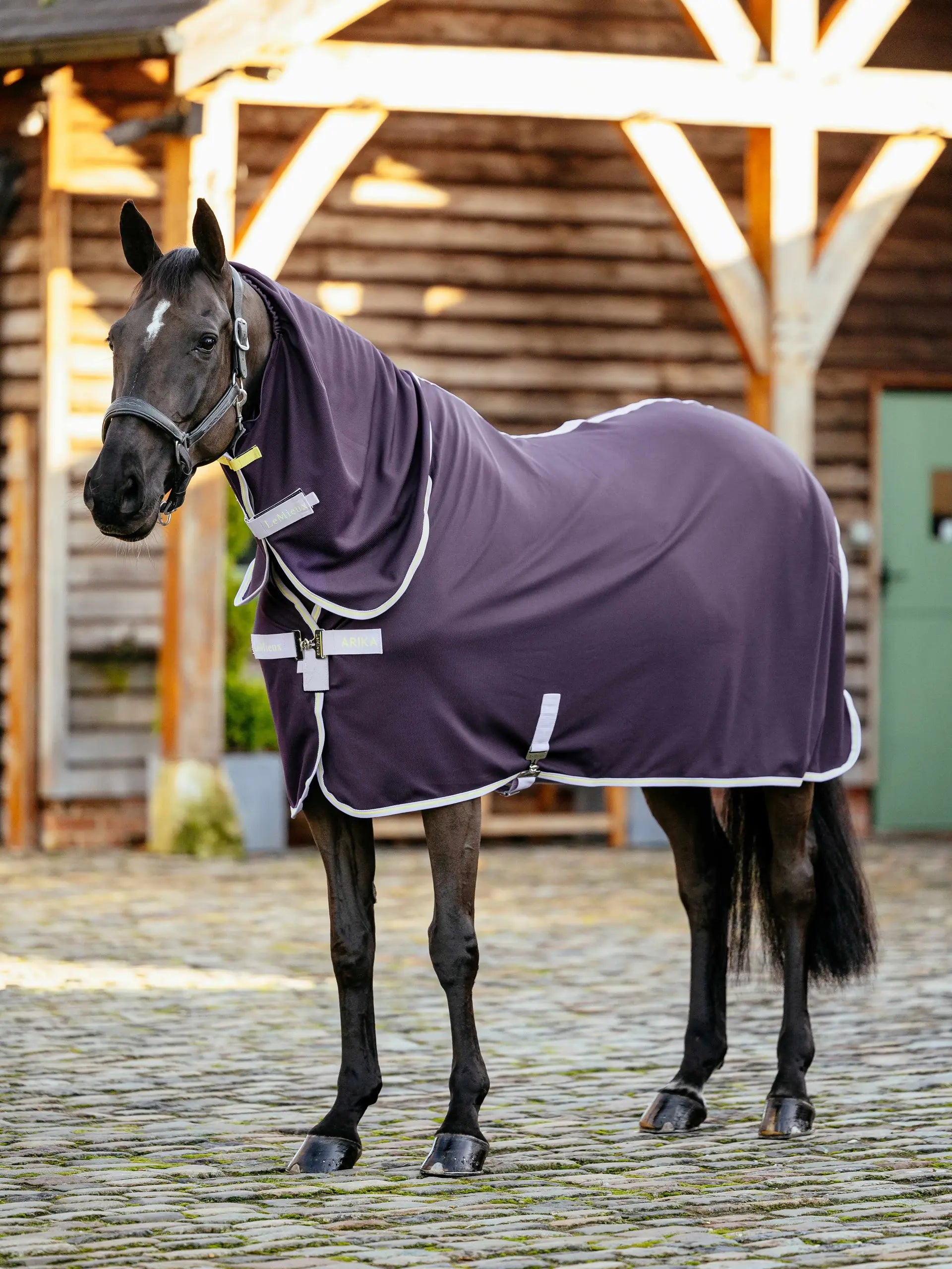 LeMieux Arika Dryease Juniper Horse Rug - Close-up of a dark horse wearing a dark purple horse rug with white trim outside a barn.