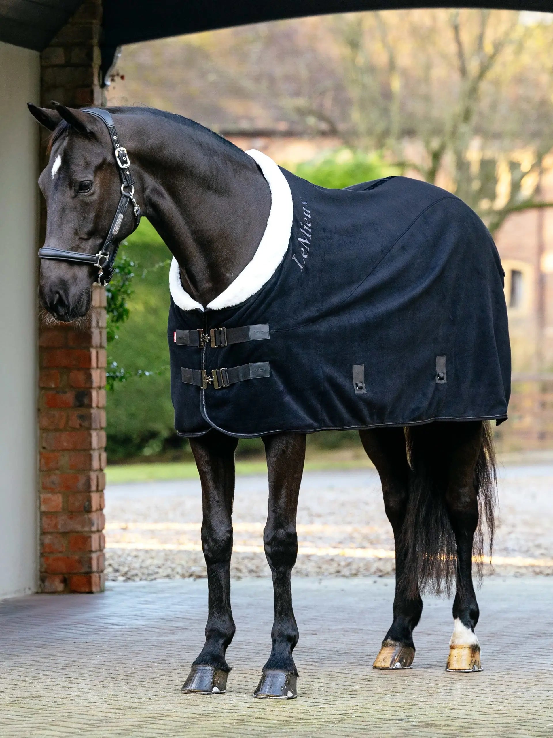 LeMieux Kudos Luxe Fleece Rug Black